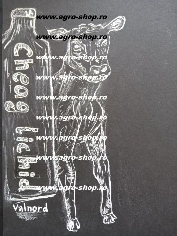 Cheag natural de vitel