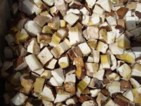 Ciuperci congelate intregi, cuburi, lamelata