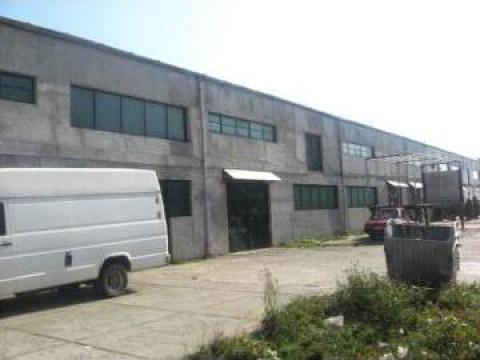 Cladire industriala - hala de productie