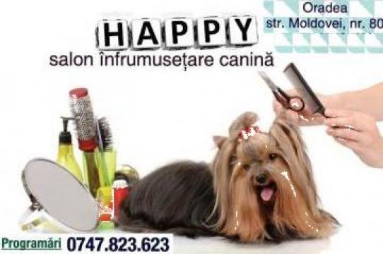 Coafura, frizerie canina Happy-Dog