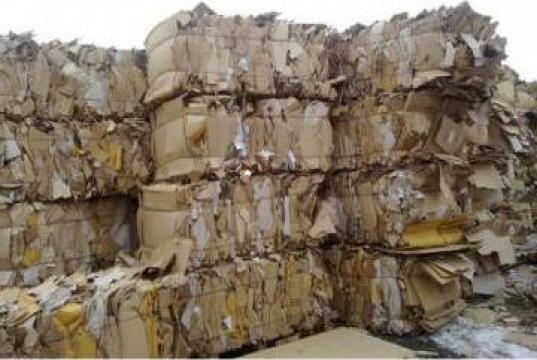 Colectare, sortare si reciclare