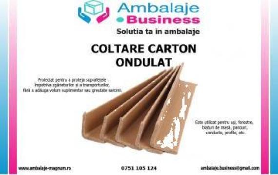 Coltare carton