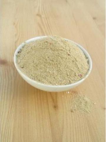 Condiment Dressing italian