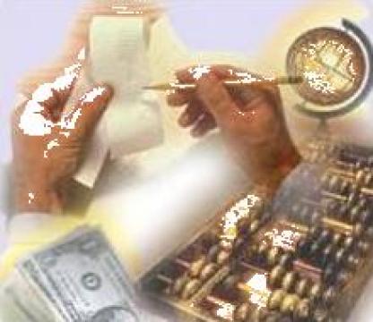 Consultanta, asistenta si rapoarte economico-financiare