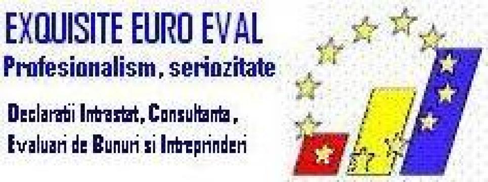 Consultanta declaratii Intrastat