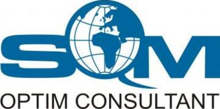 Consultanta sisteme de management