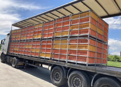 Container metalic transport pasari Egea