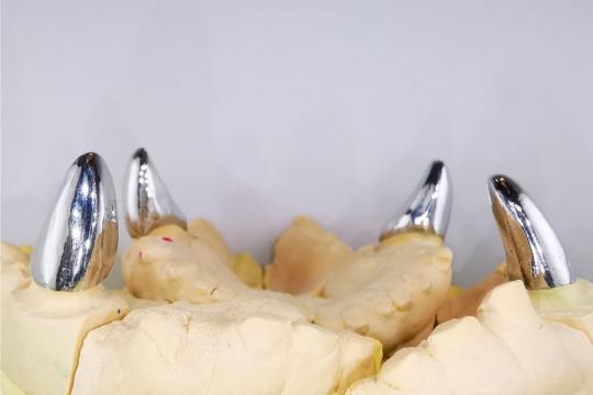 Coroane dentare pentru caini