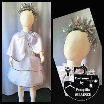 Costum Fulg