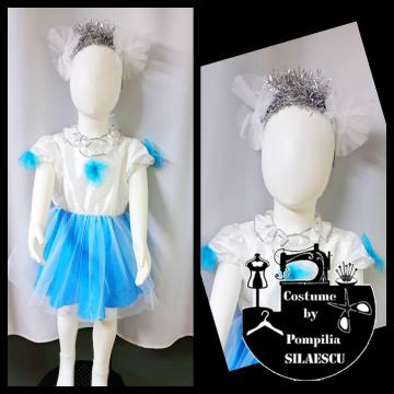 Costum Fulg