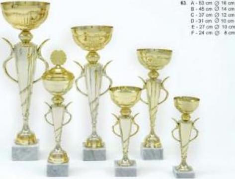 Cupe si medalii sportive
