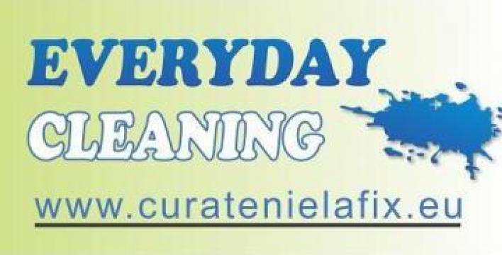 Curatenie casa