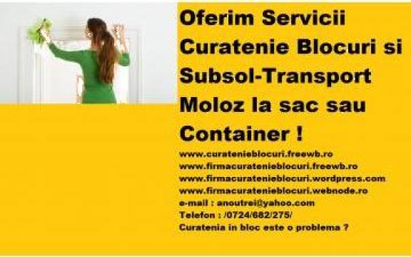 Curatenie subsol bloc