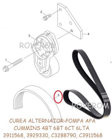 Curea alternator-pompa apa Cummins 4BT, 6BT, 6CT, 6LTA