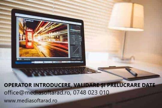 Curs Operator introducere, validare si prelucrare date