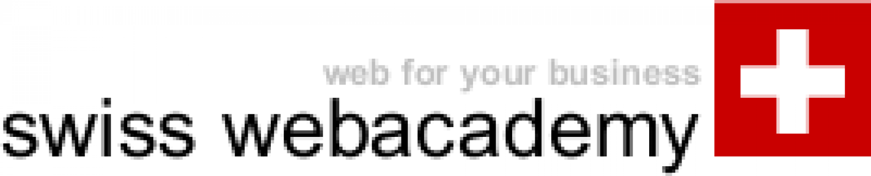 Curs Web Designer