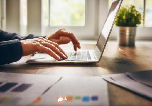 Curs designer pagini web