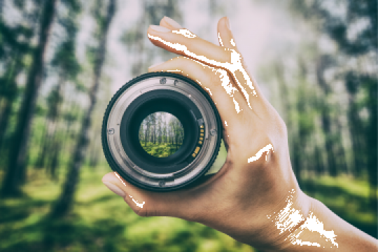 Curs fotografie