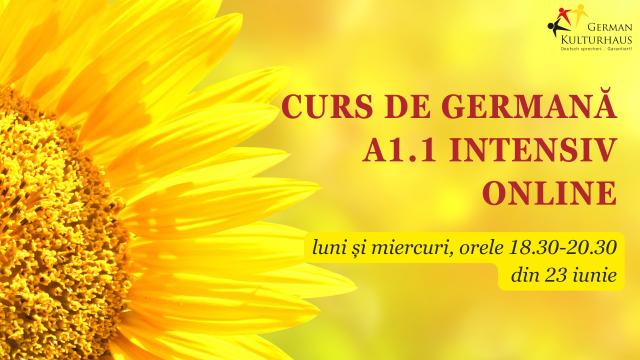 Curs online limba germana nivel A11