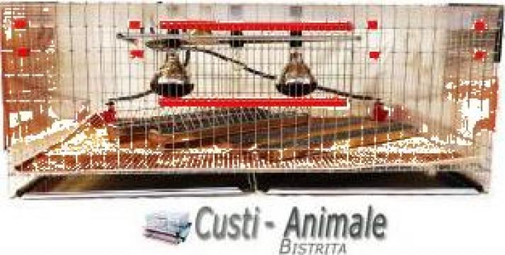 Cusca maternitate pui de prepelita 100 cm