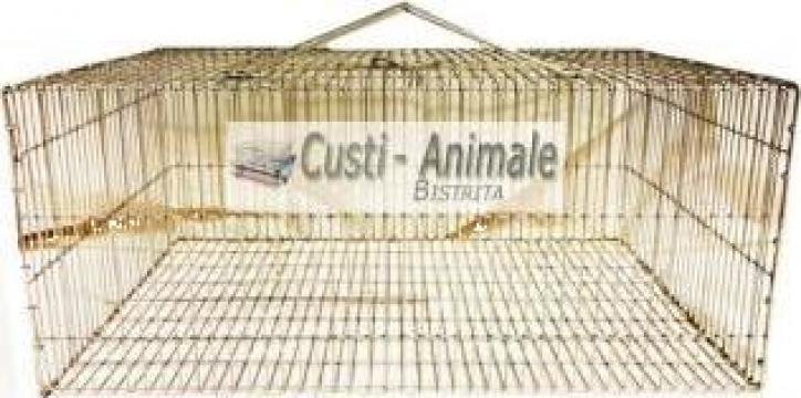 Custi de transport pui de o zi 100/40/25 cm