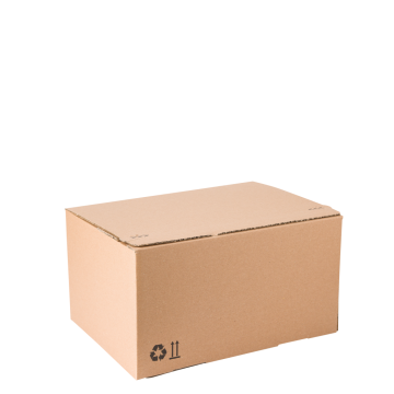 Cutii carton autoformare 250 x 150 x 360 mm, 10 buc