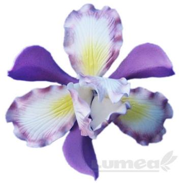 Decor Iris mov cu alb din pasta de zahar - Lumea