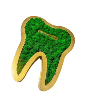 Decoratiune Molar Maestrul Lichenas, personalizat cu licheni
