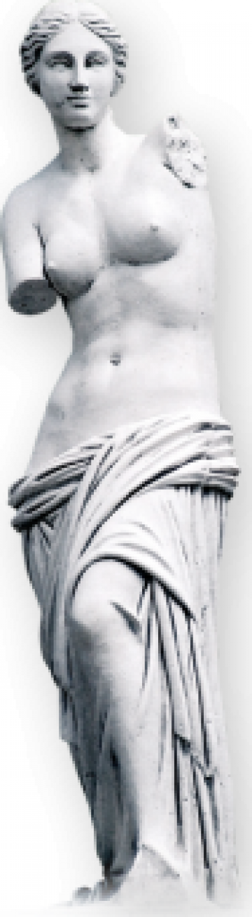 Decoratiune statuie gradina Venus din Milo S15