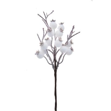 Decoratiuni Crengute fructe padure albe 25cm S/10