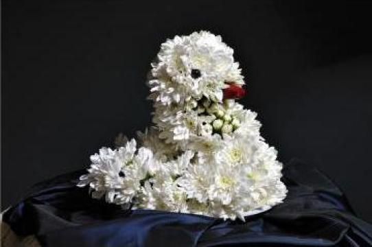 Decoratiuni animale din flori