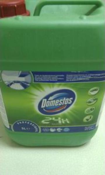Detergent dezinfectant Domestos Professional Pine Fresh