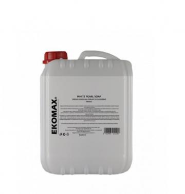 Detergent geam eurocanistra - 5 litri
