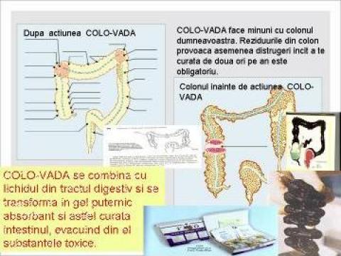 Detoxifiant colon