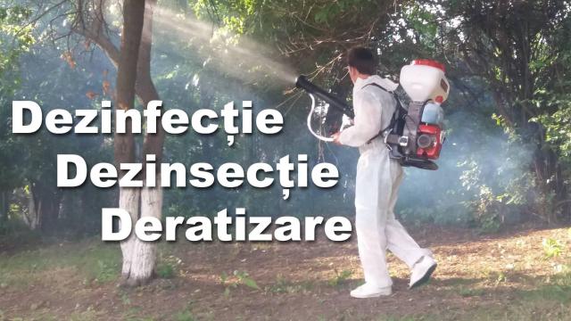 Dezinsectie, dezinfectie, deratizare Bucuresti, Ilfov