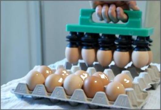 Dispozitiv pentru ambalat oua in caserola