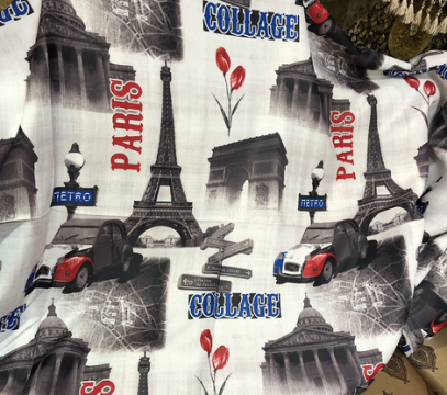 Draperie tineret Paris