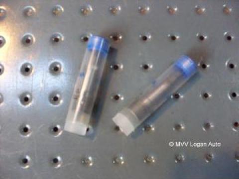 Element pompa injectie Raba