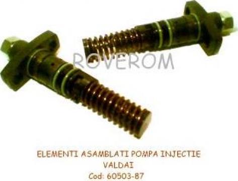Elementi pompa injectie Valdai
