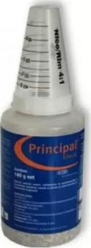 Erbicid porumb Principal 180 gr