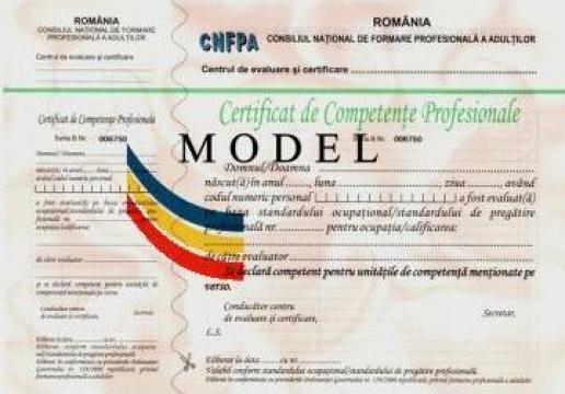 Evaluare competente profesionale Ingrijitoare batrani