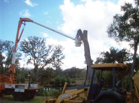 Excavatii diverse cu evacuare pamant