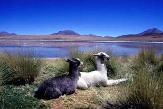 Excursie Bolivia