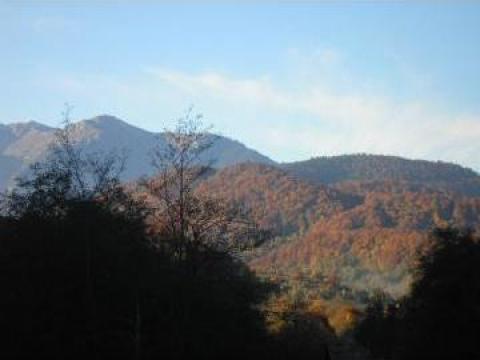 Excursie si cazare pensiune in zona Cheile Rasnoavei, Rasnov