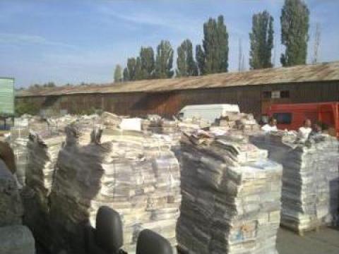 Export deseuri