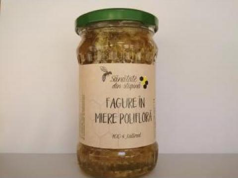 Fagure in miere poliflora