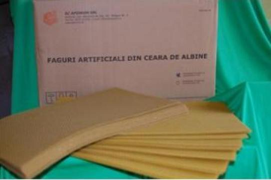 Faguri Apisrom
