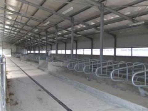 Ferme zootehnice, ferme agricole pentru cresterea animalelor