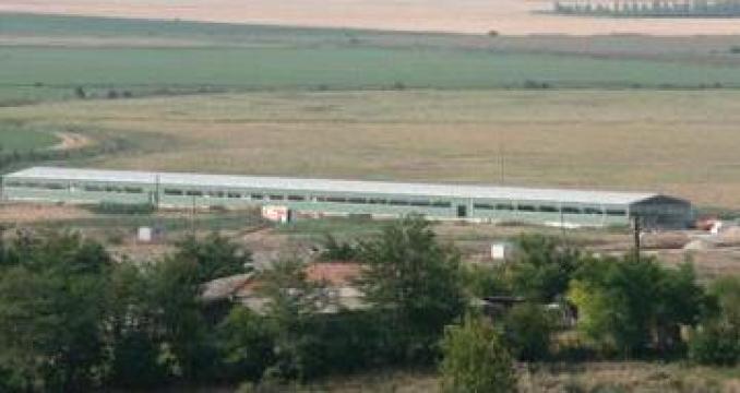 Ferme zootehnice - solutie Frisomat