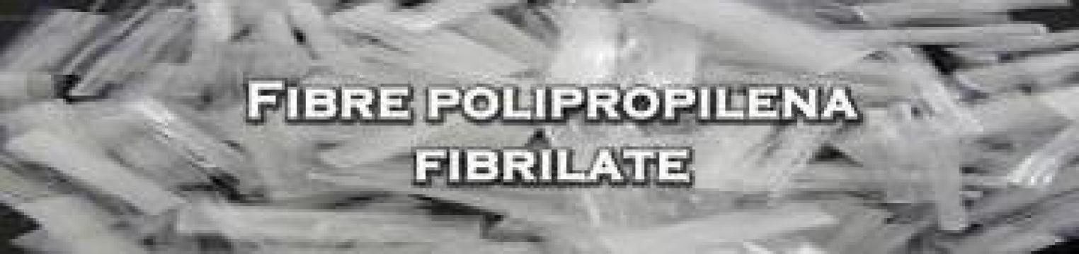 Fibra polipropilena fibrilata